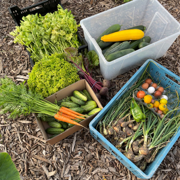 biologische pluktuin