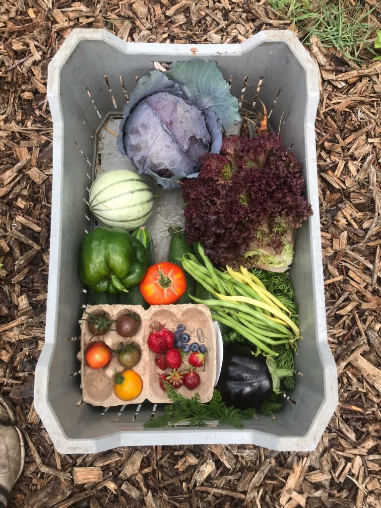 Zelfpluktuin Woensdrecht